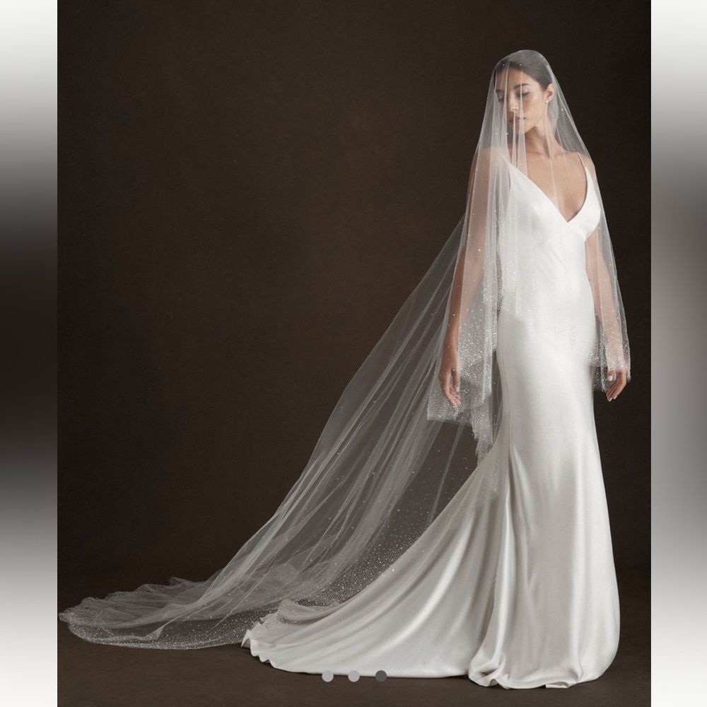 Anthropologie Blossom Veils Sparkle Veil